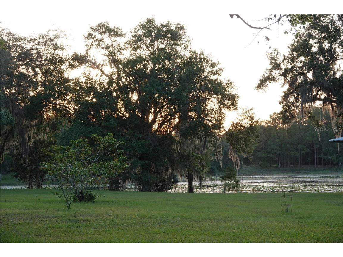 22839 Bungalow Lane Land O Lakes FL 34639 TB8390406 image8