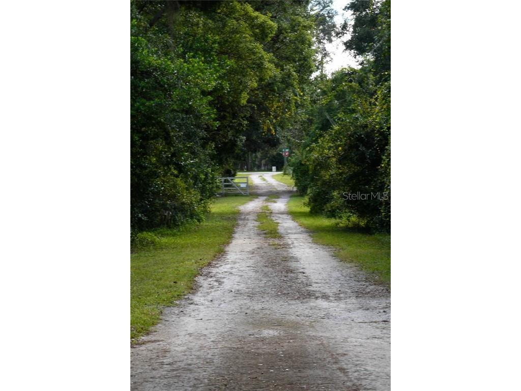 22839 Bungalow Lane Land O Lakes FL 34639 TB8390406 image9