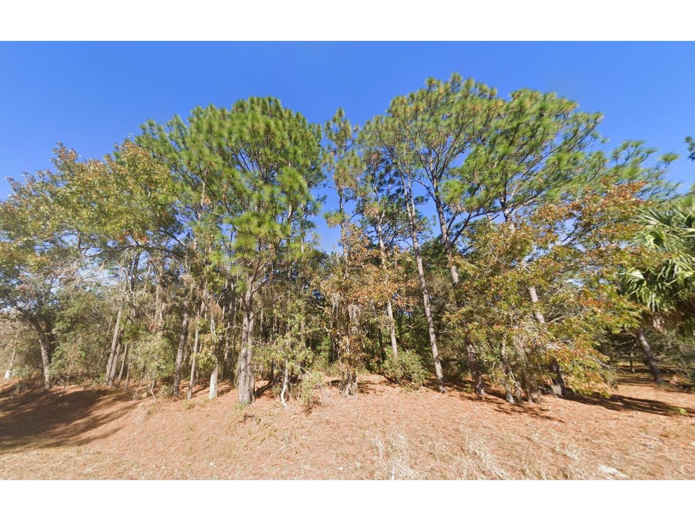 2284 County Road 243b Wildwood FL 34785 O6390793 image1