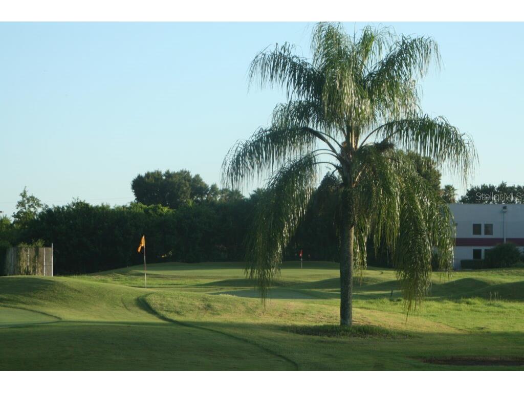 2284 Philippine Drive #69 Clearwater FL 33763 TB8510262 image27