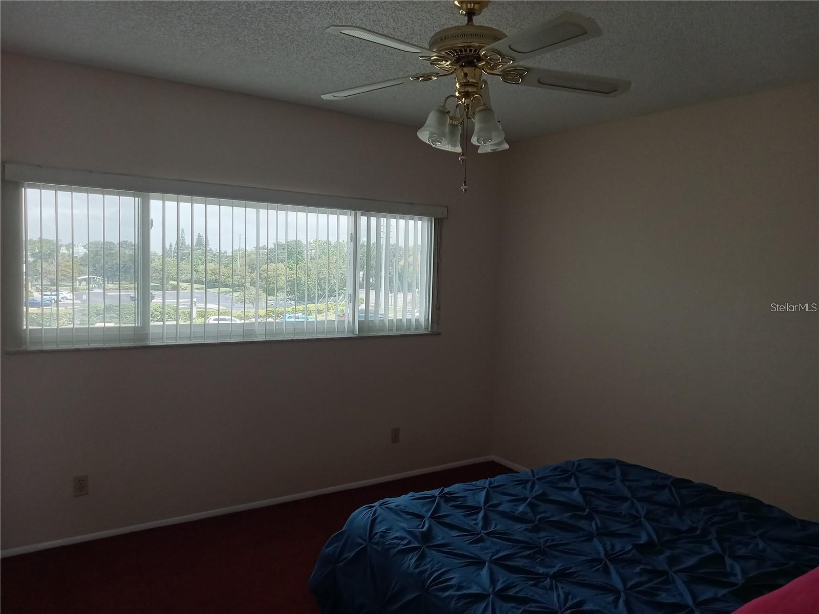 2284 Philippine Drive #73 Clearwater FL 33763 TB8473573 image13