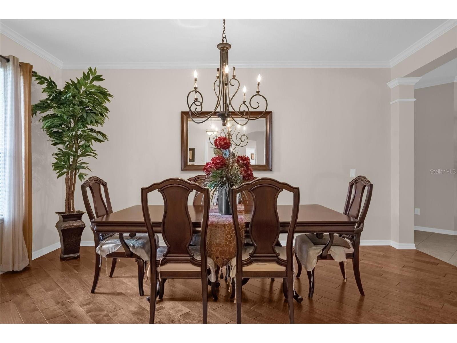 2284 Pickford Circle Apopka FL 32703 O6385475 image9