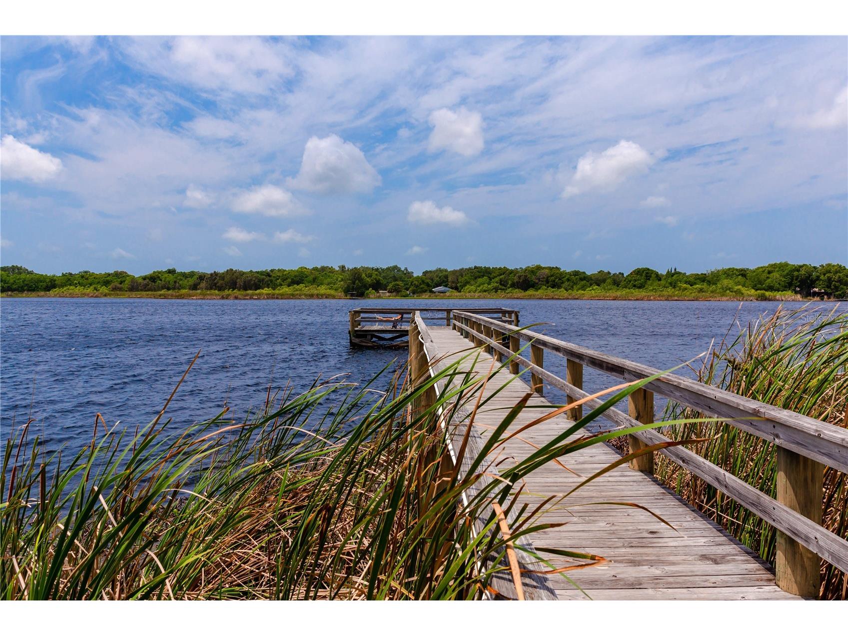 2284 Spanish Drive #50 Clearwater FL 33763 TB8477911 image27