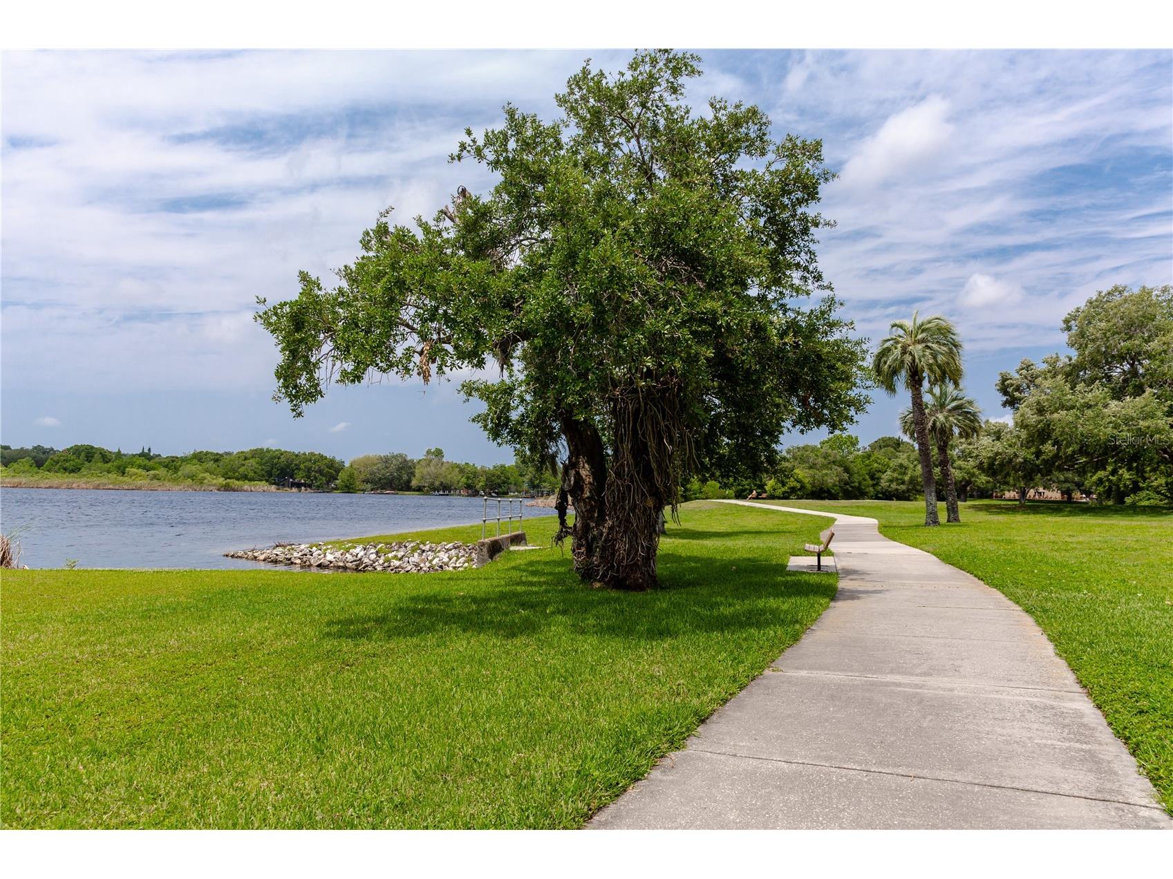 2284 Spanish Drive #50 Clearwater FL 33763 TB8477911 image30