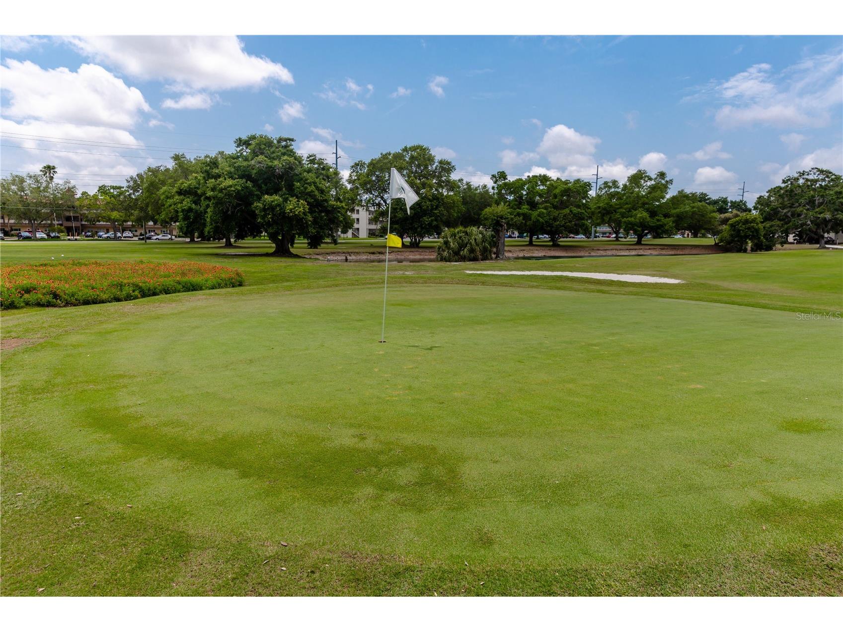 2284 Spanish Drive #50 Clearwater FL 33763 TB8477911 image37