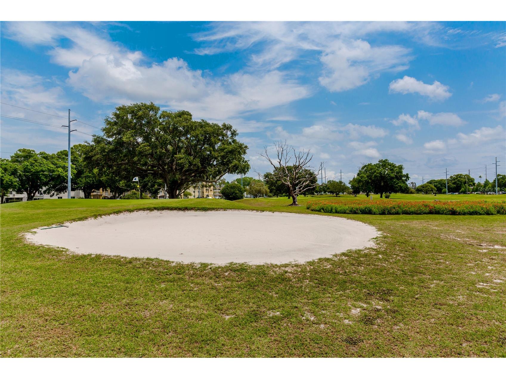 2284 Spanish Drive #50 Clearwater FL 33763 TB8477911 image38