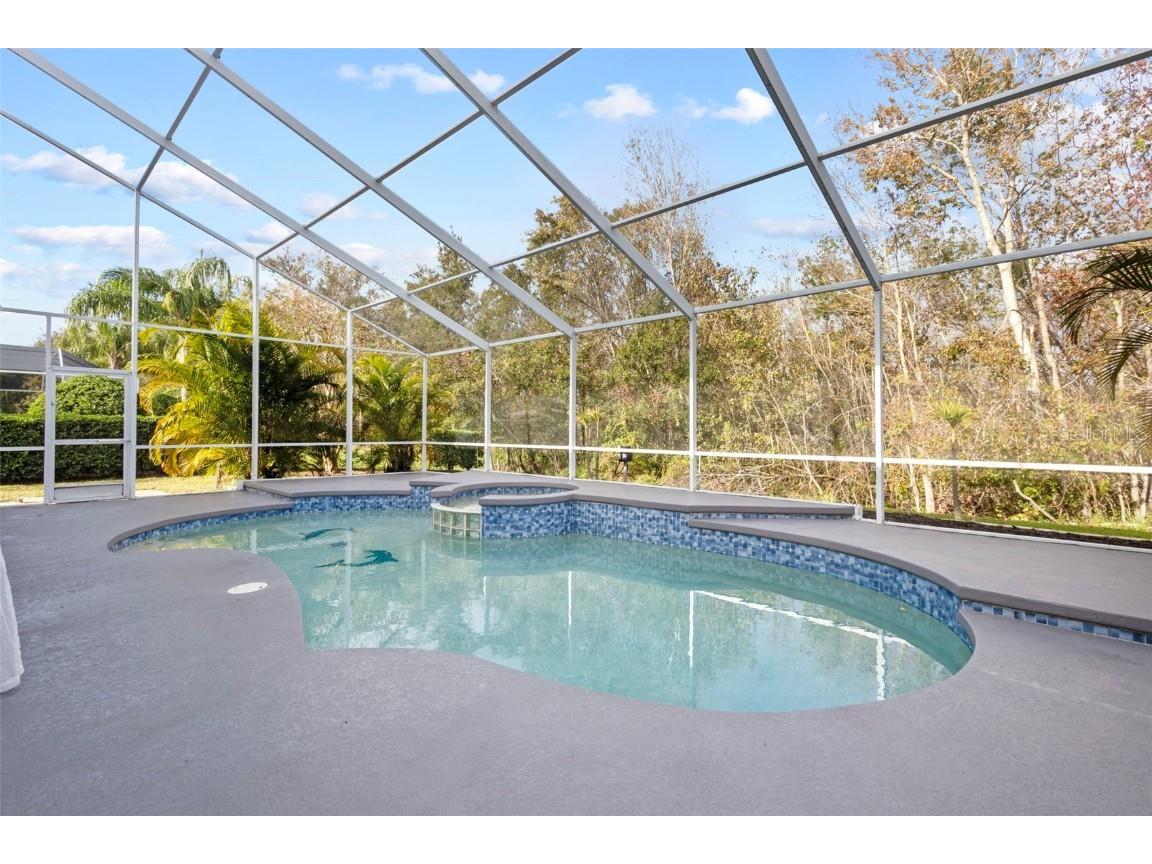 22847 Sonoma Lane Lutz FL 33549 TB8332229 image14