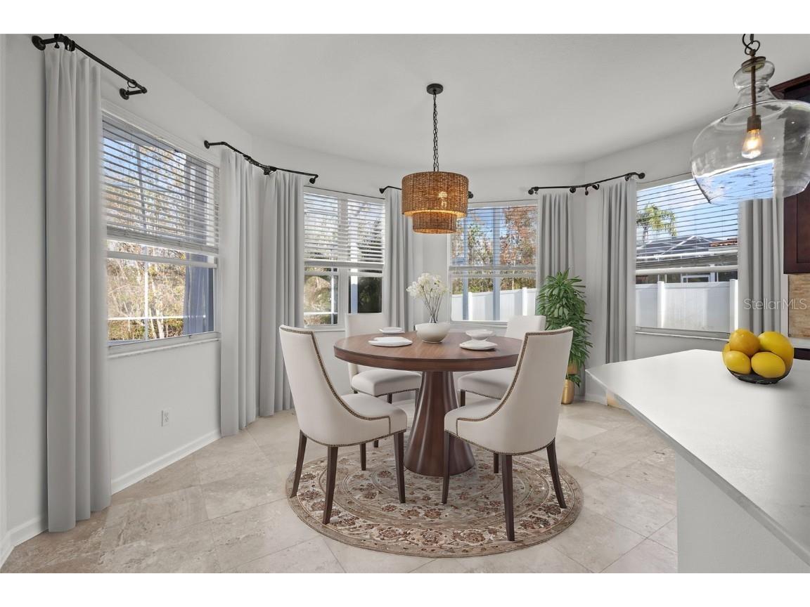 22847 Sonoma Lane Lutz FL 33549 TB8332229 image21