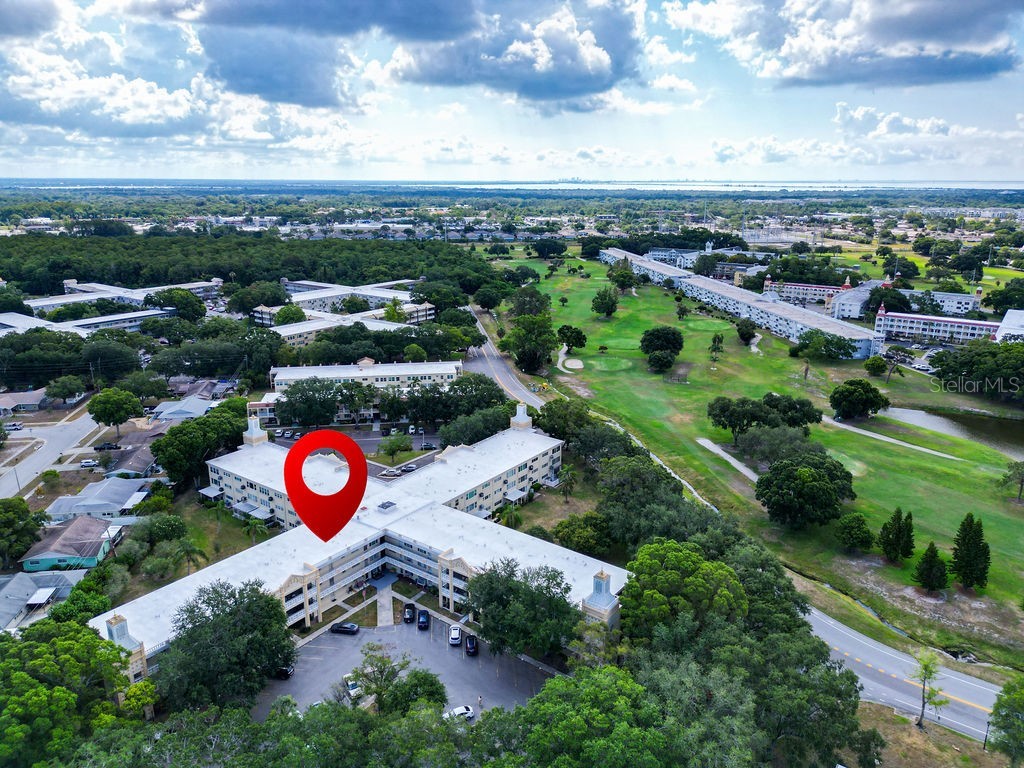 2285 Israeli Drive #29 Clearwater FL 33763 TB8443283 image1