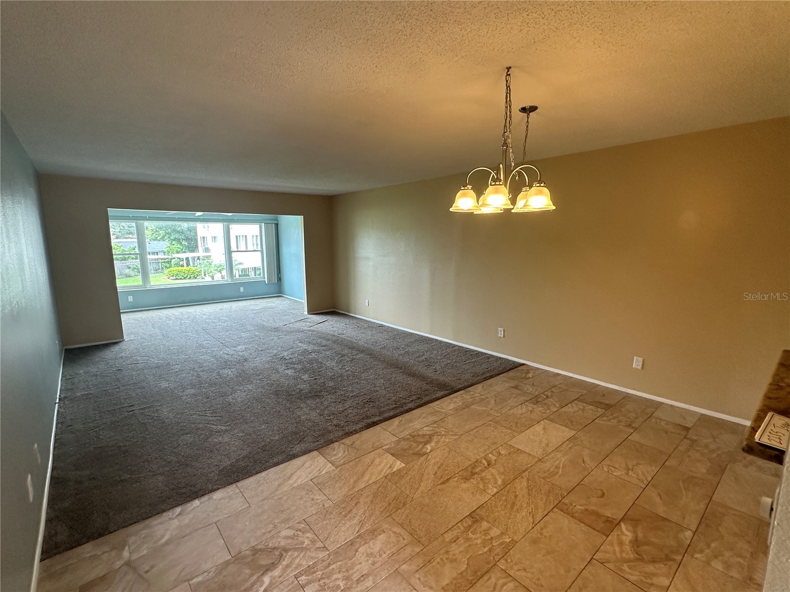 2285 Israeli Drive #29 Clearwater FL 33763 TB8527499 image10