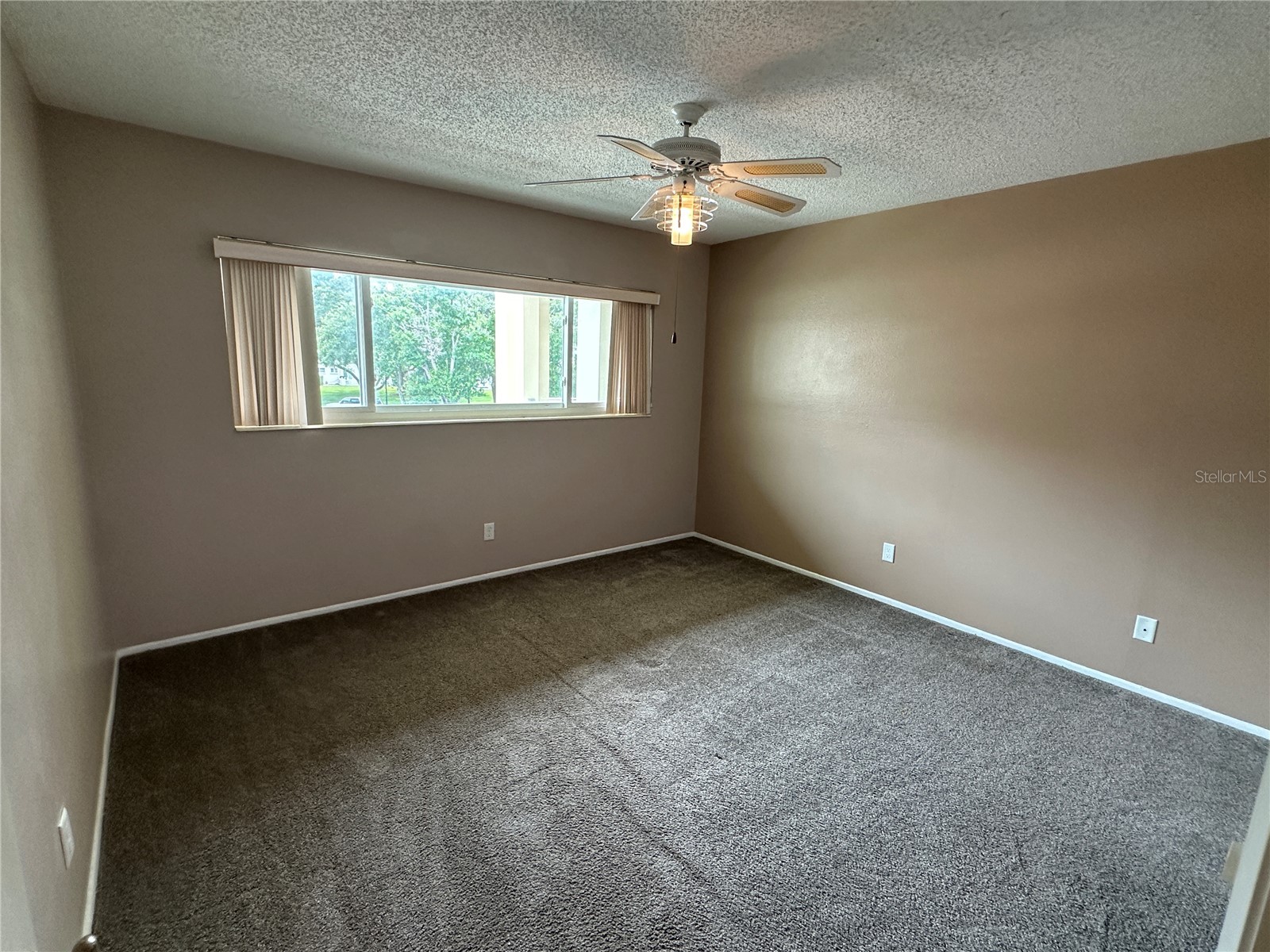 2285 Israeli Drive #29 Clearwater FL 33763 TB8527499 image15