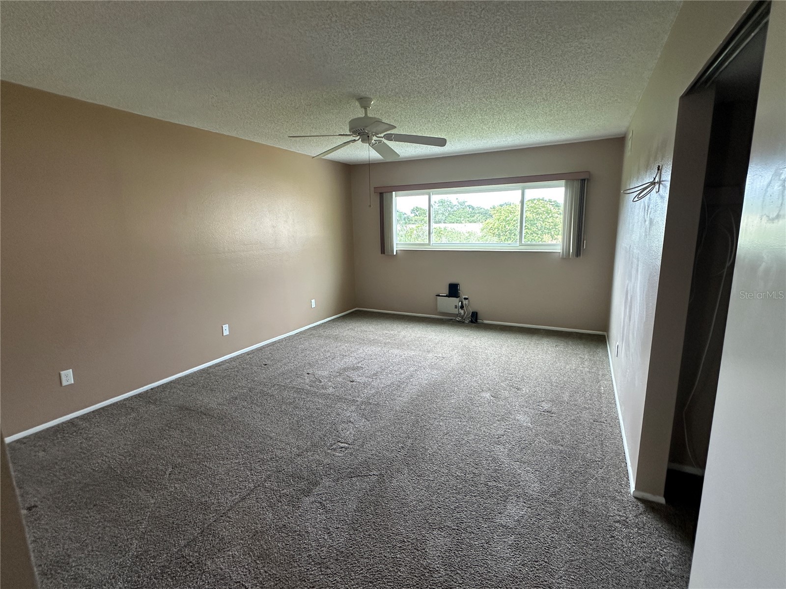 2285 Israeli Drive #29 Clearwater FL 33763 TB8527499 image19