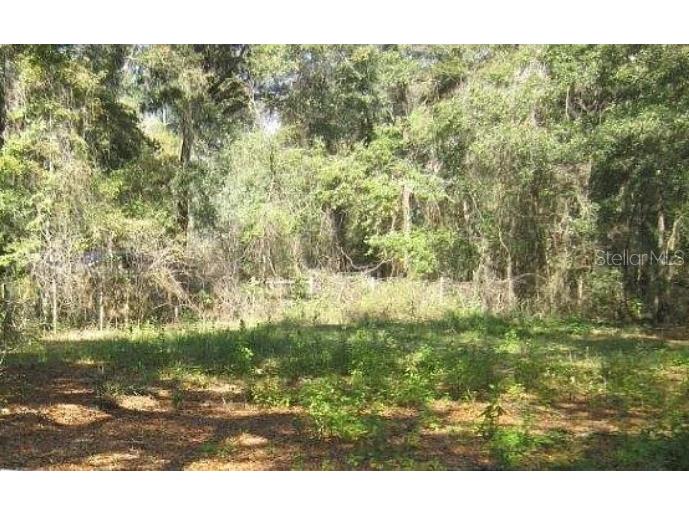 2285 NW 65th Place Ocala FL 34475 TB8499080 image4