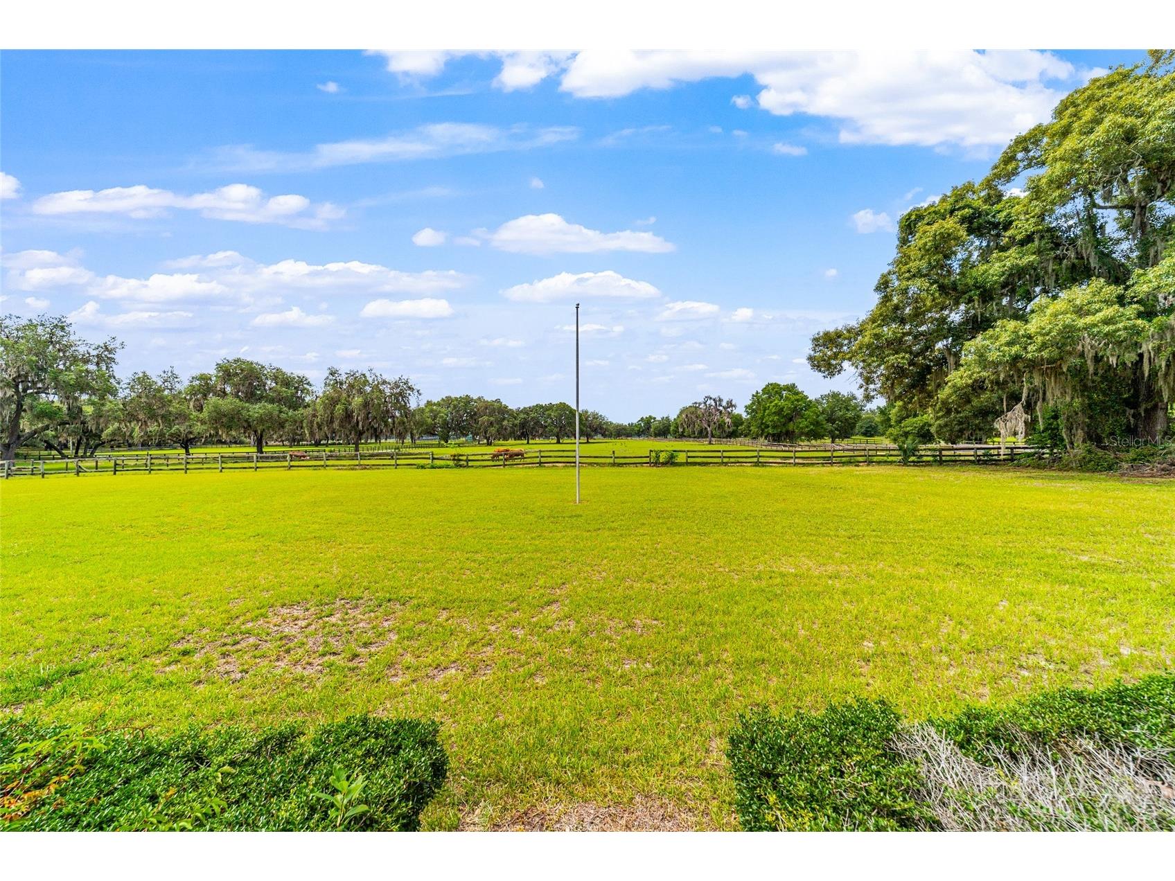 2285 W Highway 318 Citra FL 32113 OM726329 image85