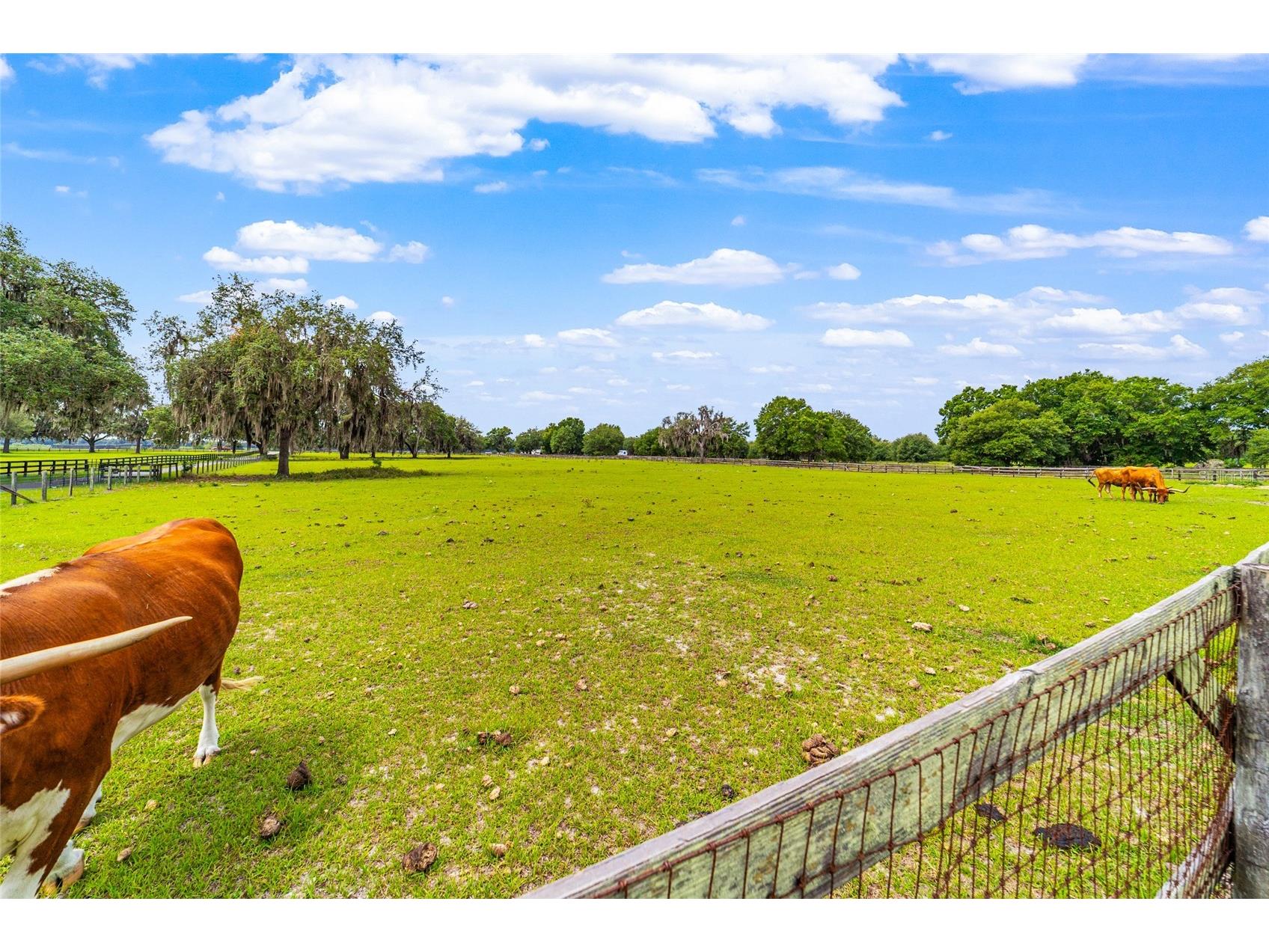 2285 W Highway 318 Citra FL 32113 OM726329 image88