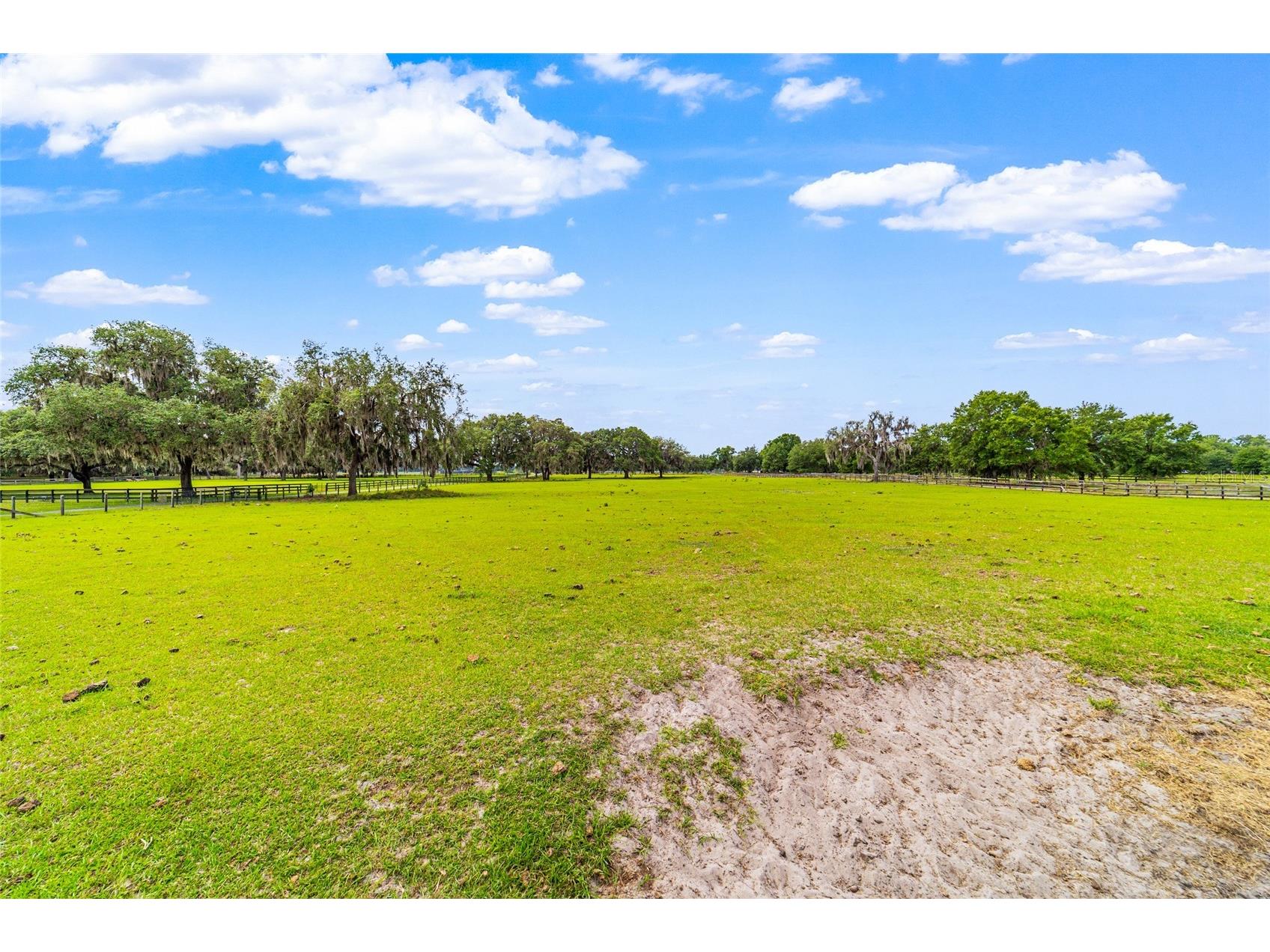 2285 W Highway 318 Citra FL 32113 OM726329 image89