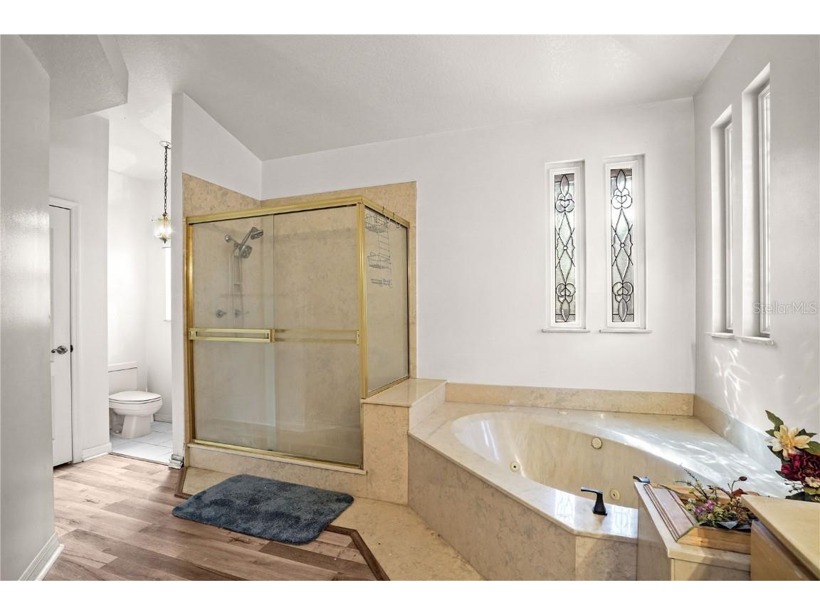 2286 Lake Francis Drive Apopka FL 32712 O6357567 image25