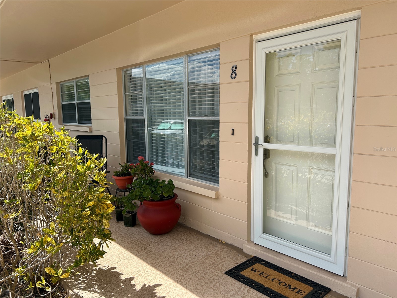 2286 Norwegian Drive #8 Clearwater FL 33763 TB8481999 image3