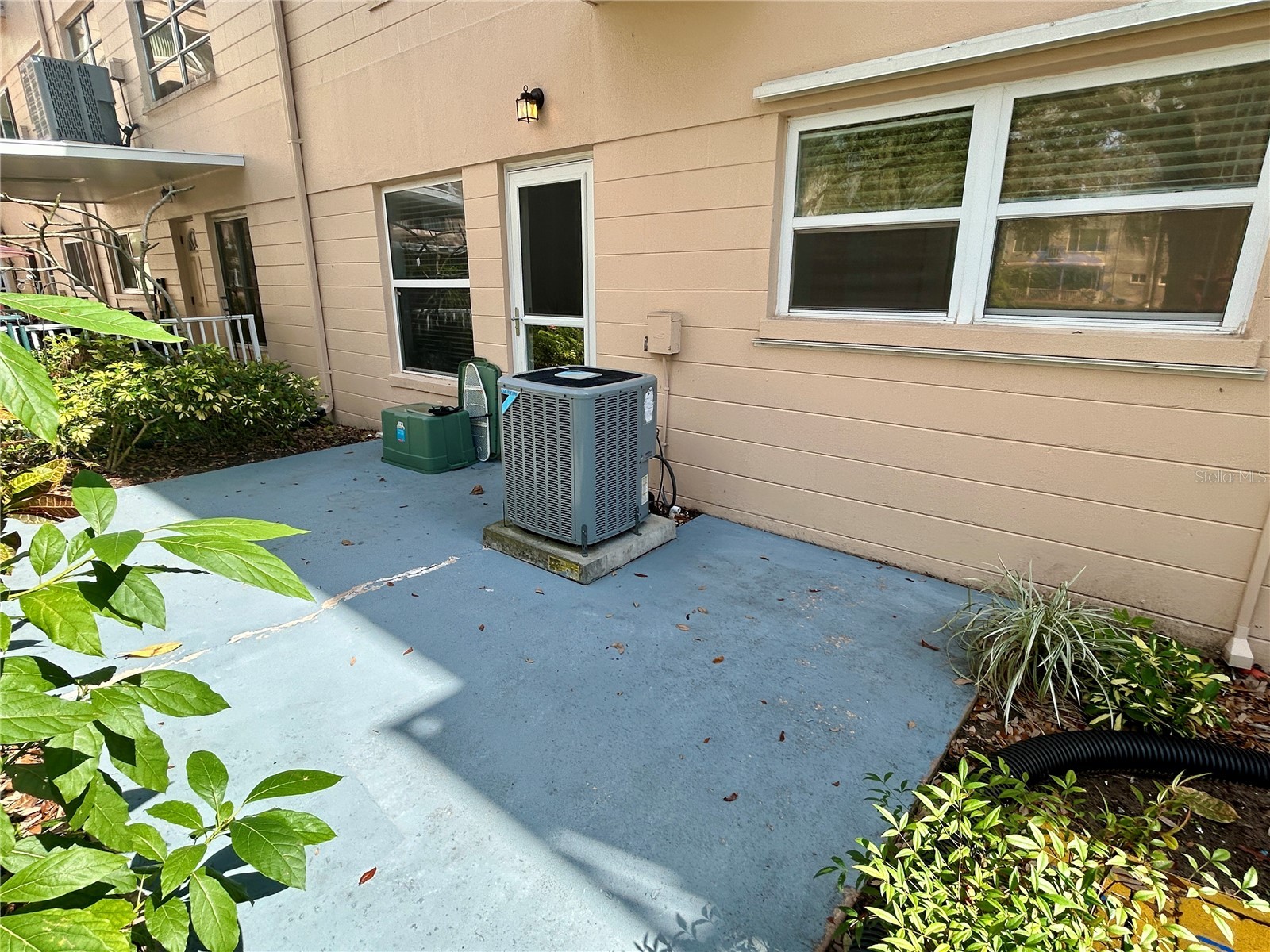 2286 Norwegian Drive #8 Clearwater FL 33763 TB8481999 image31