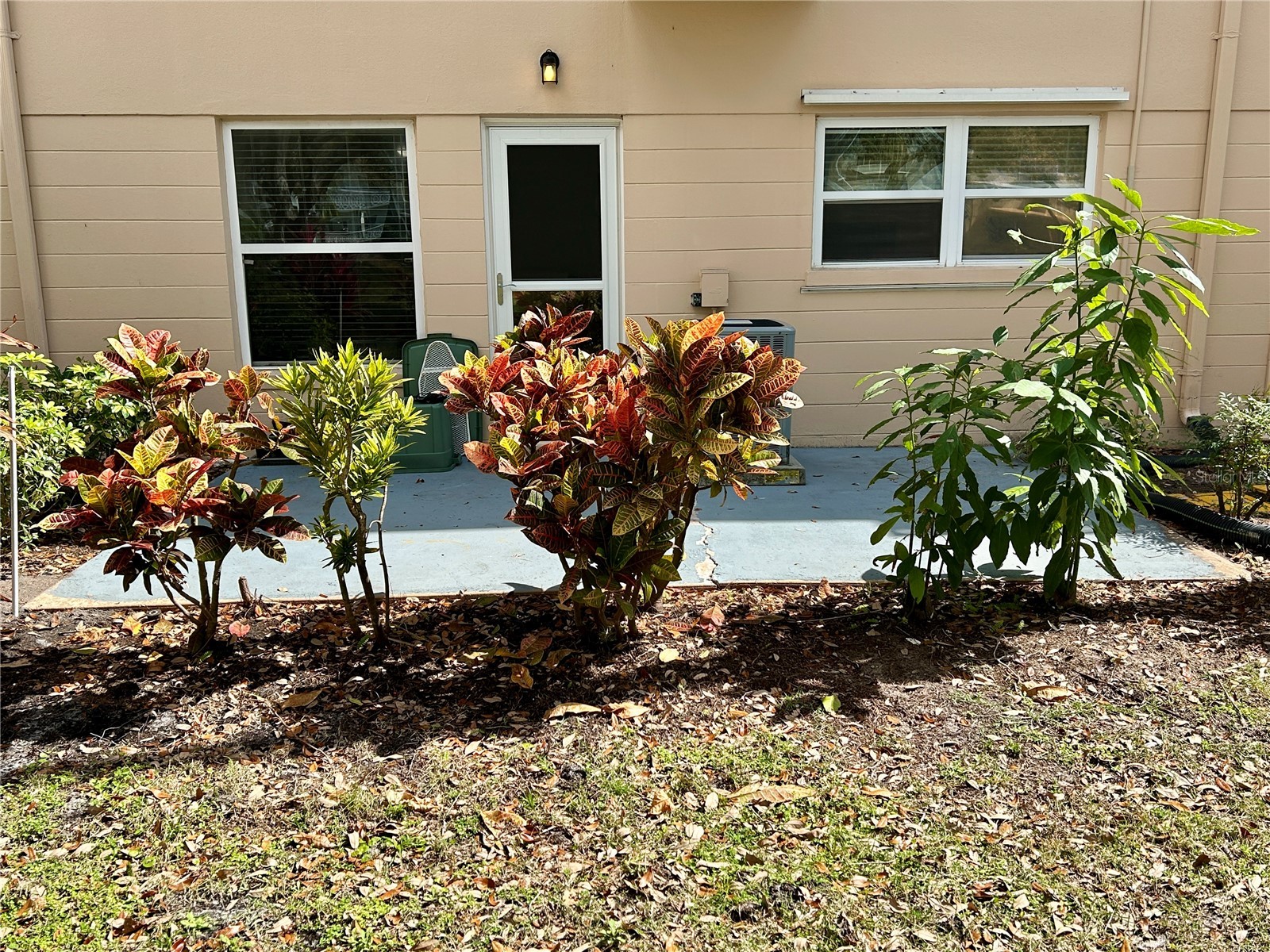 2286 Norwegian Drive #8 Clearwater FL 33763 TB8481999 image32