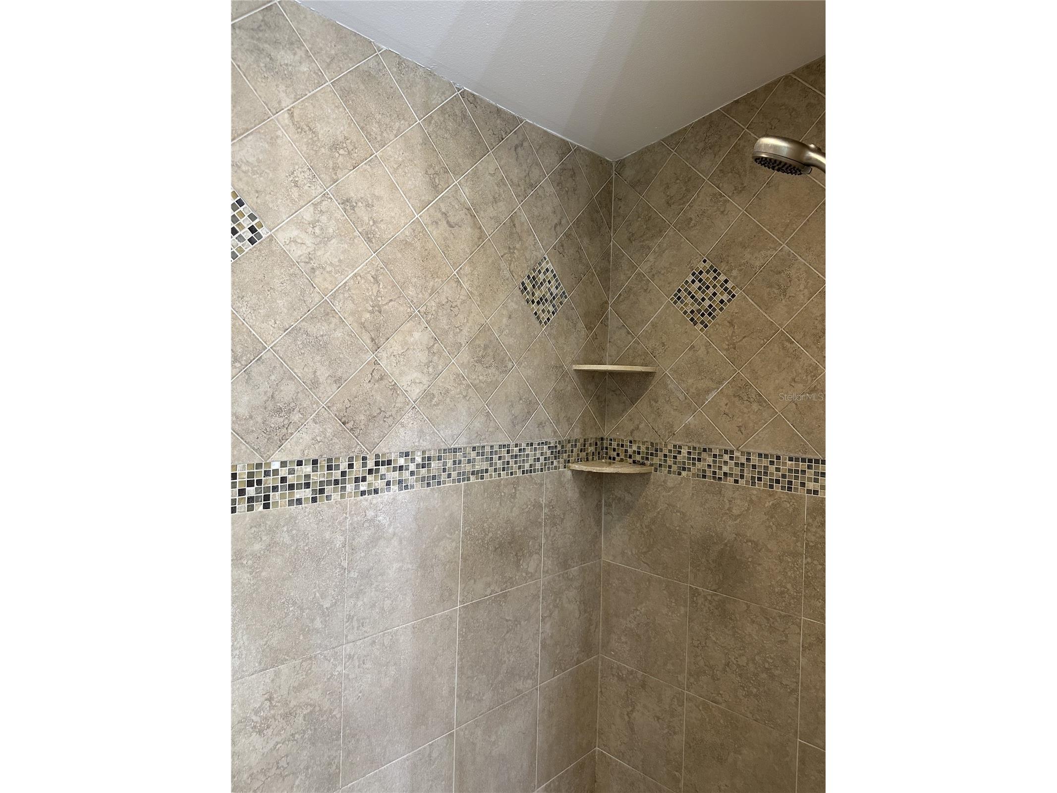 2287 Carolyn Drive Dunedin FL 34698 TB8488024 image37