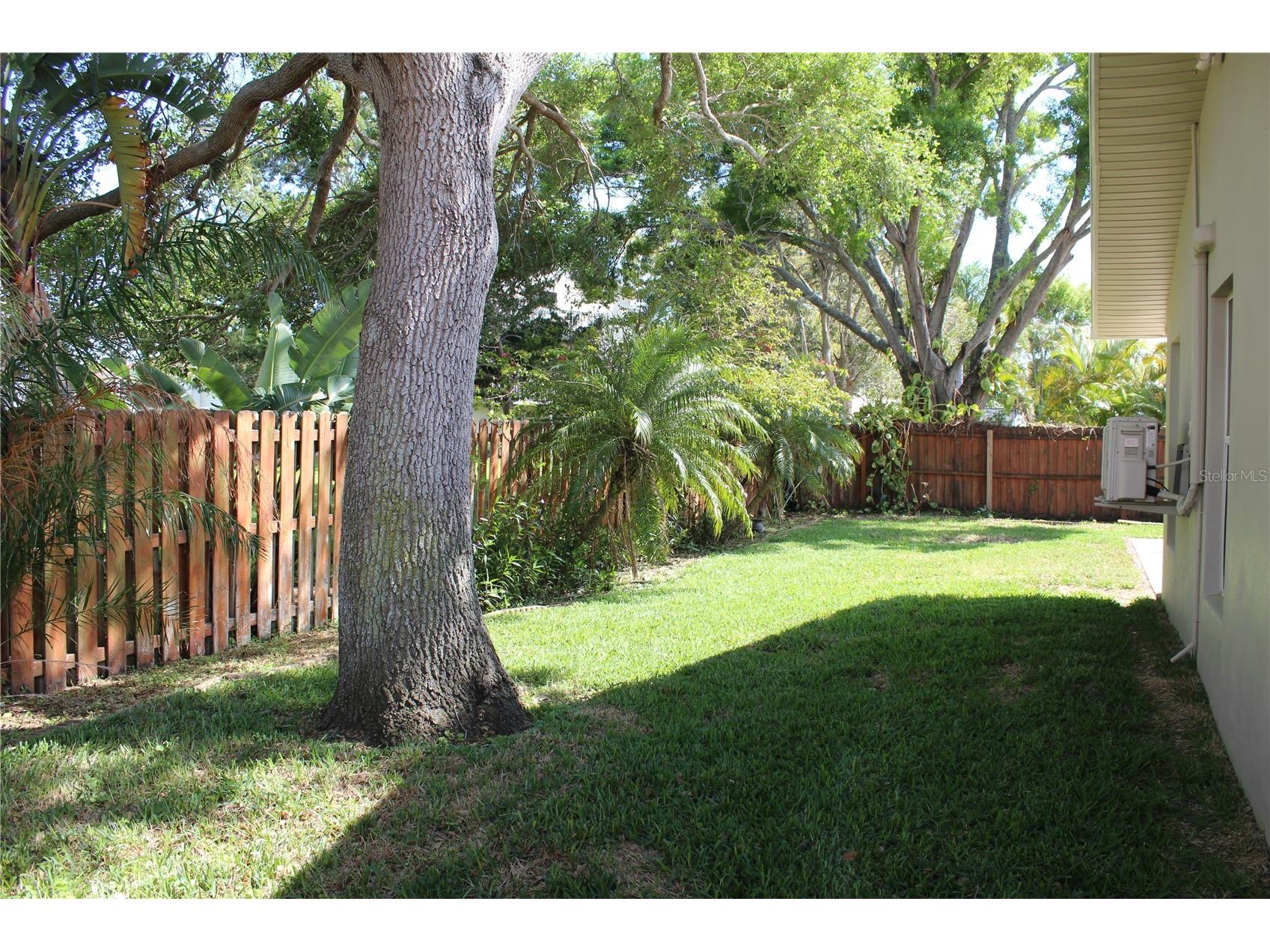 2287 Carolyn Drive Dunedin FL 34698 TB8488024 image56