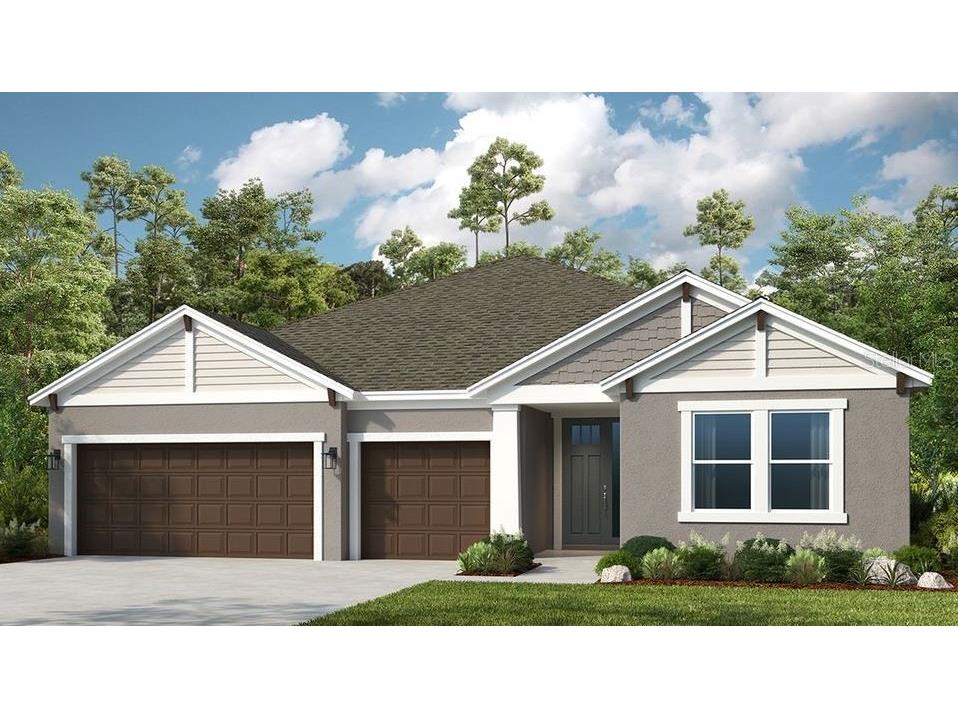 2287 Overfalls Place Wesley Chapel FL 33543 T3535770 image1