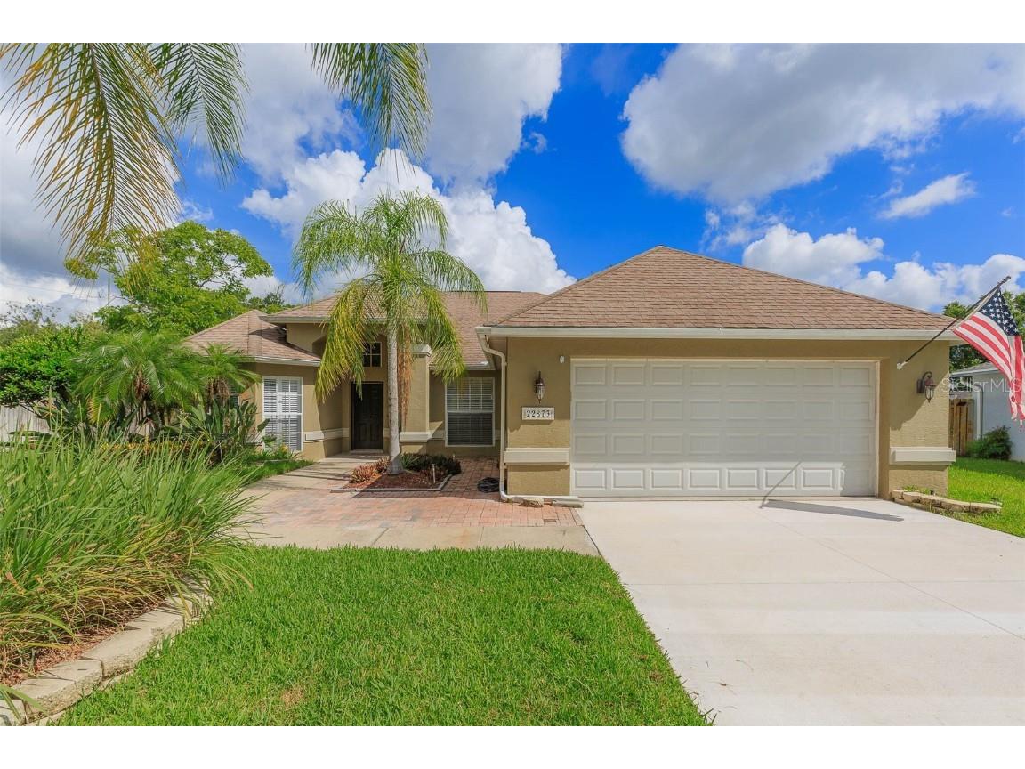 22873 Sterling Manor Loop Lutz FL 33549 T3386861 image1