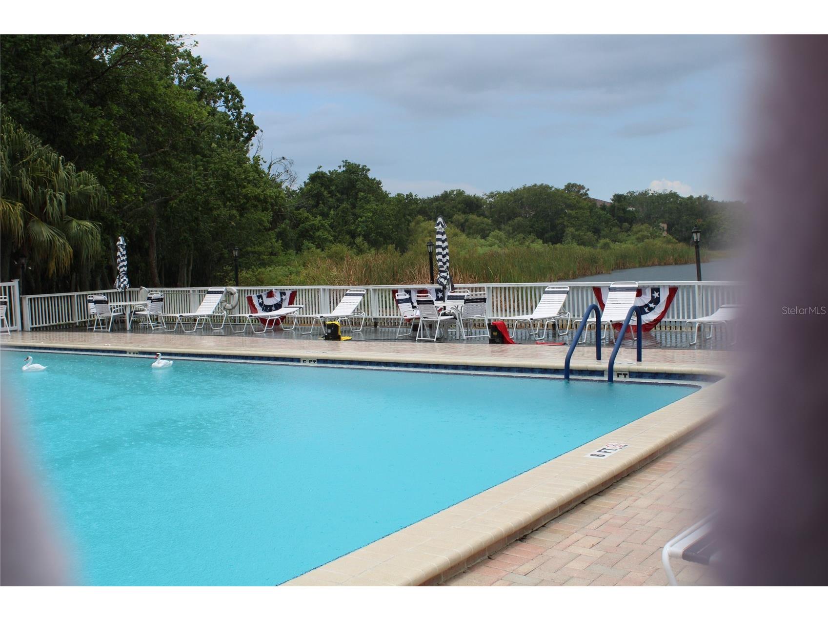 2288 Citrus Court Clearwater FL 33763 TB8522919 image57