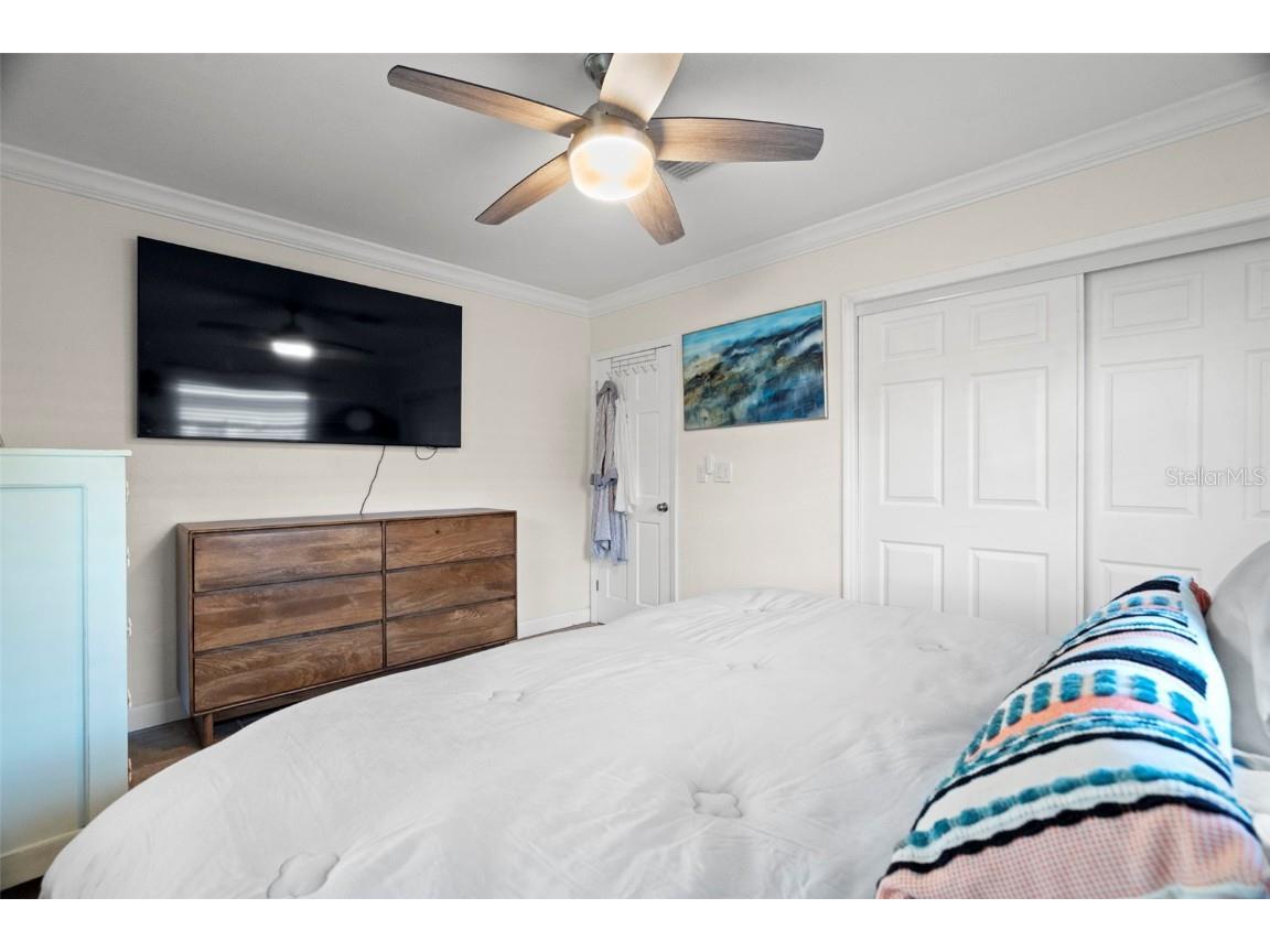 2288 Edythe Drive Dunedin FL 34698 TB8454277 image22