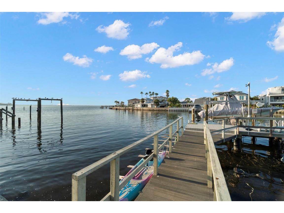 2288 Edythe Drive Dunedin FL 34698 TB8454277 image40