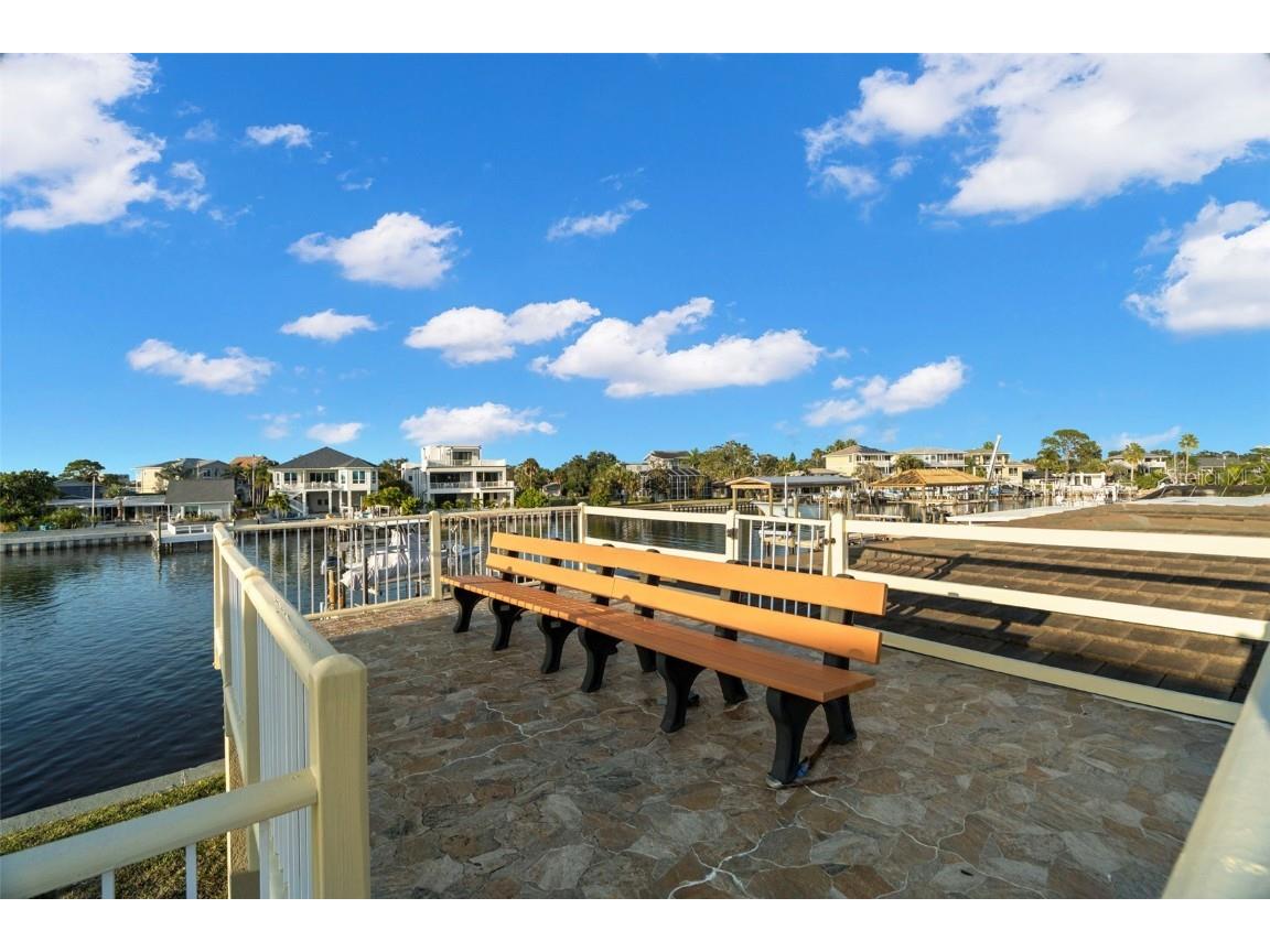 2288 Edythe Drive Dunedin FL 34698 TB8454277 image44