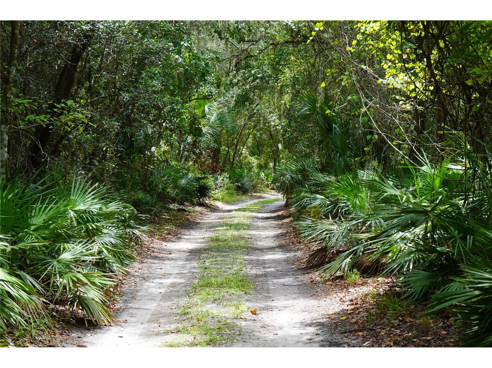 2288 Enterprise Osteen Road Deltona FL 32738 O6369388 image1