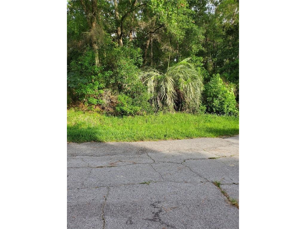 2288 W Eden Court Citrus Springs FL 34434 OM640470 image1