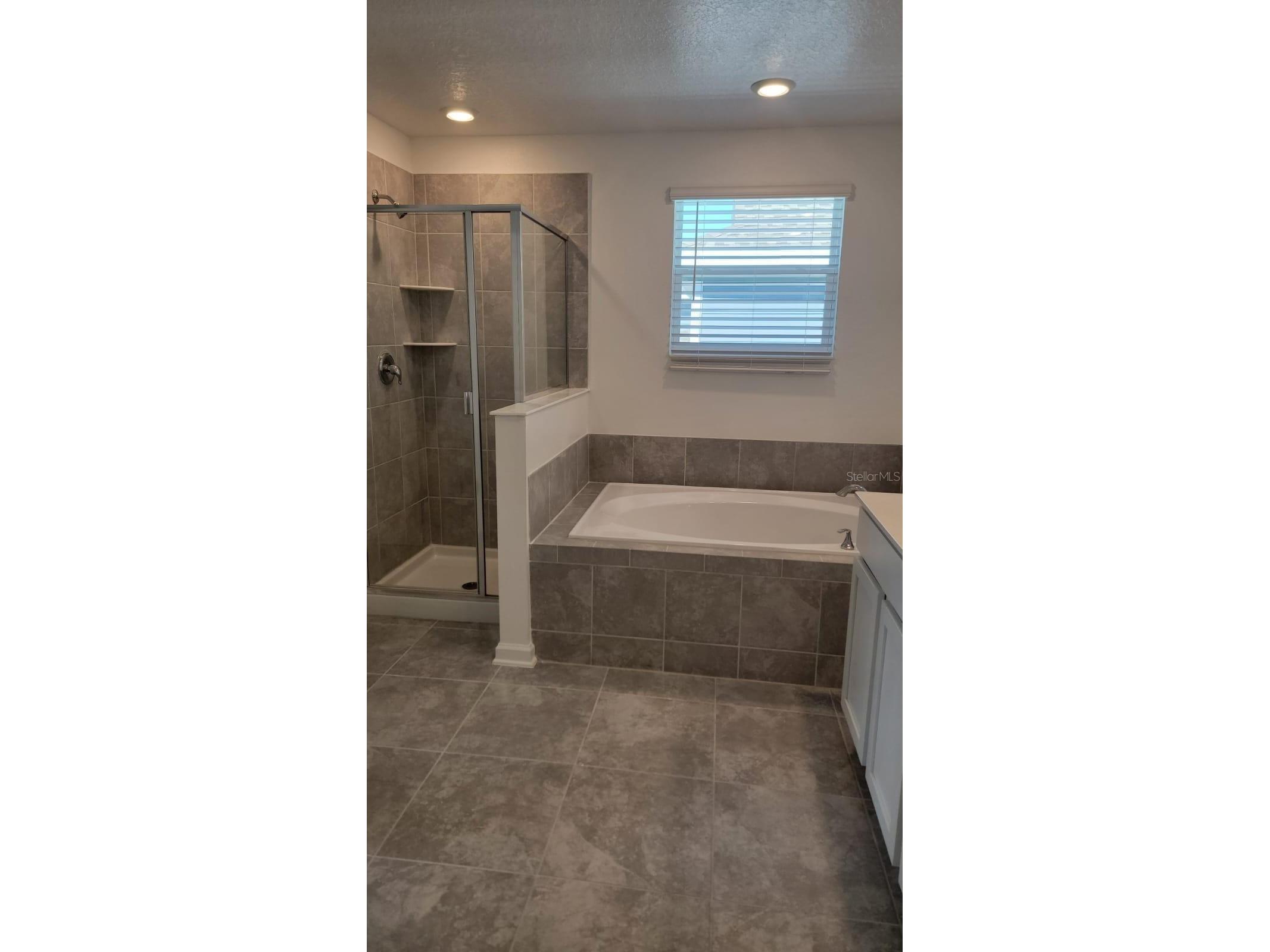 2289 Amorie Drive Kissimmee FL 34746 S5147681 image28