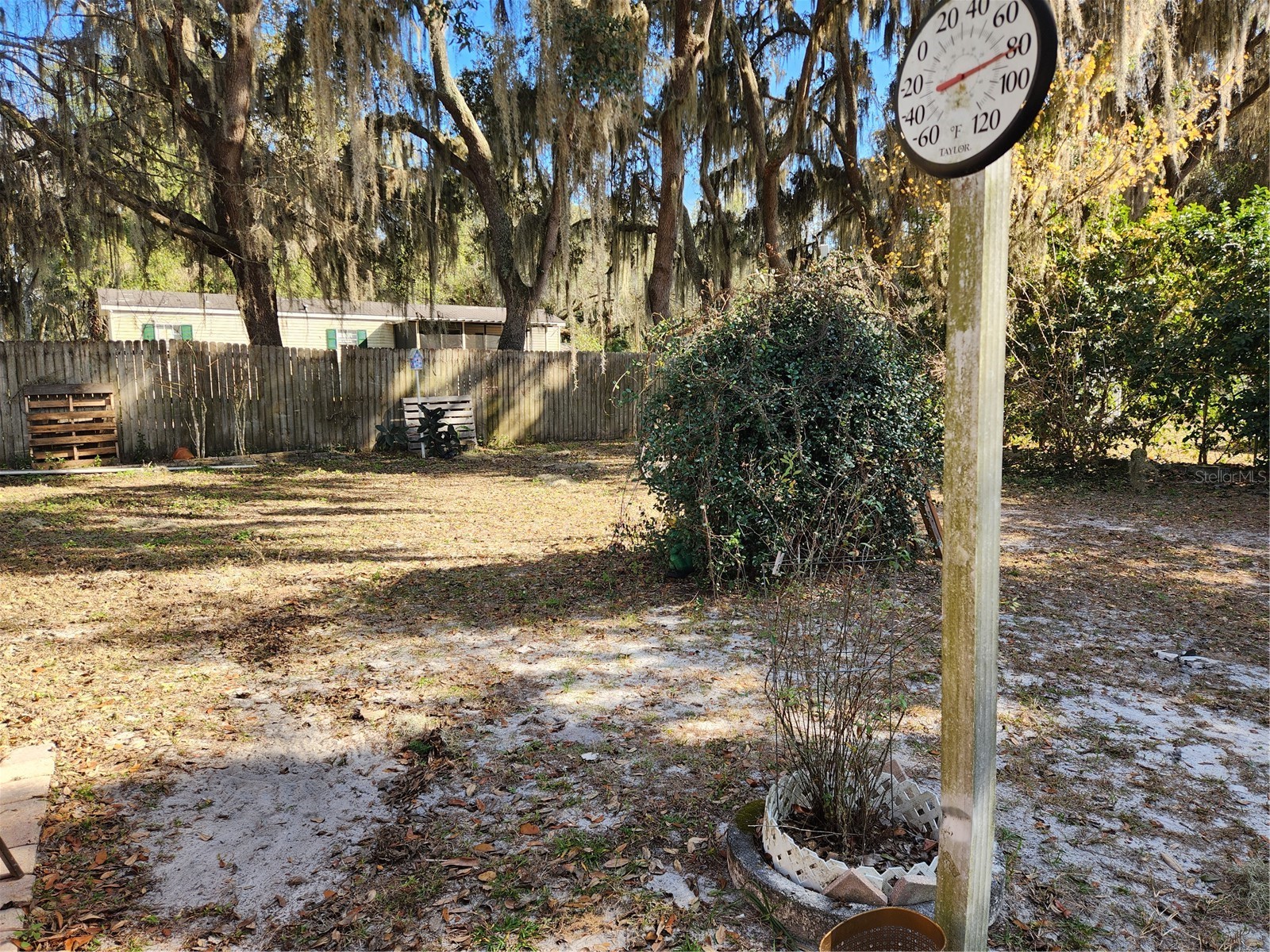 2289 Cr 436a Lake Panasoffkee FL 33538 OM717399 image9