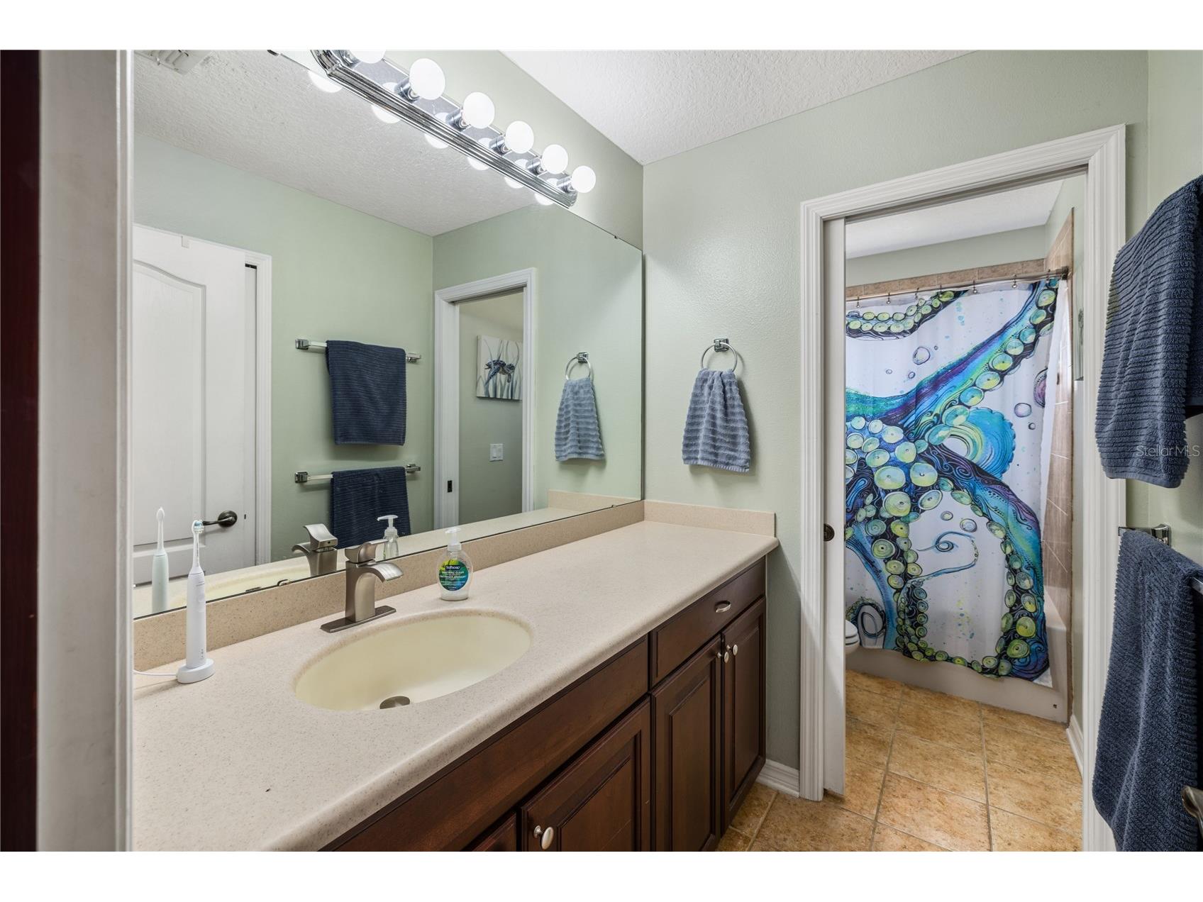 2289 Home Again Road Apopka FL 32712 O6406189 image37