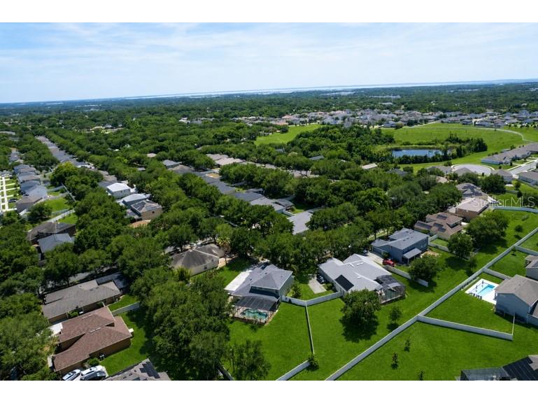 2289 Home Again Road Apopka FL 32712 O6406189 image46