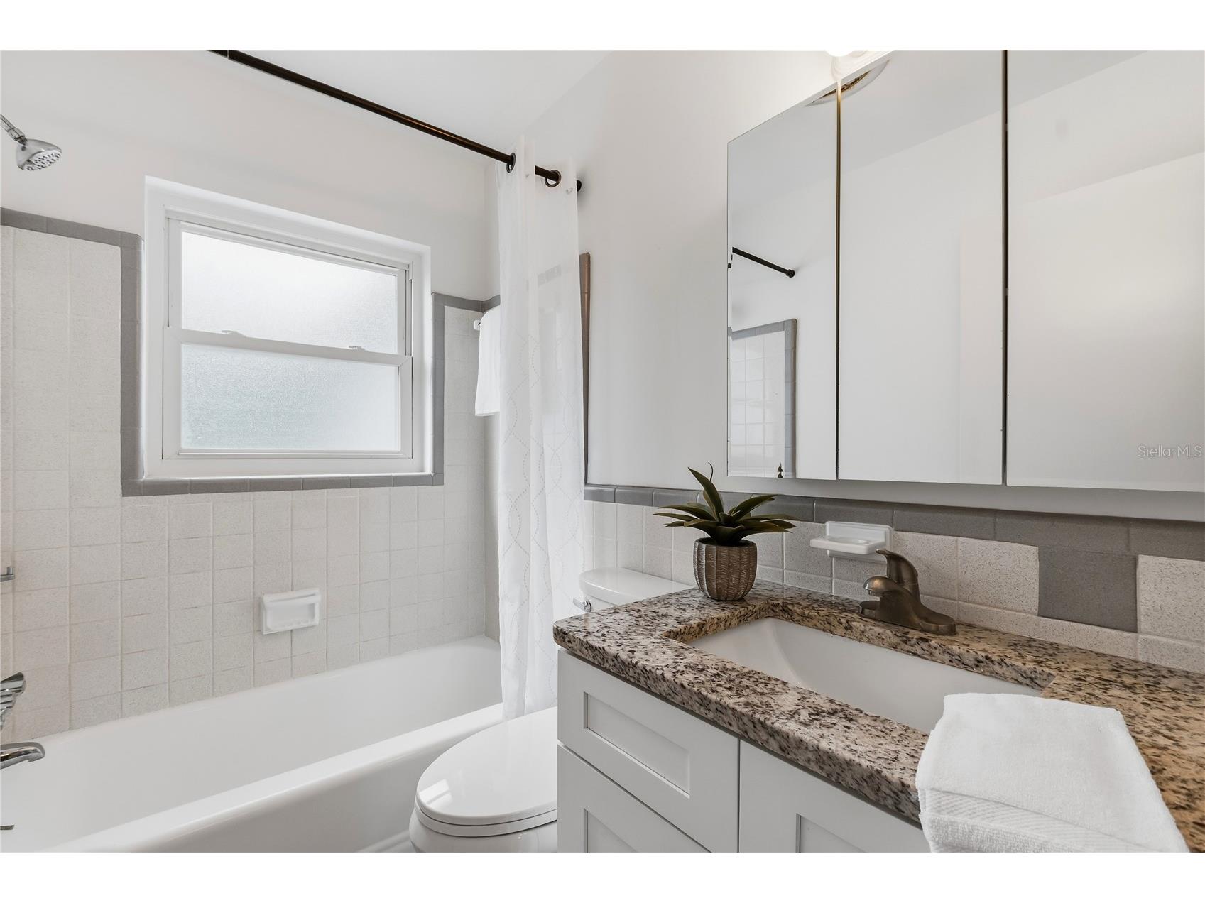 229 Andrea Drive Largo FL 33770 TB8481211 image28