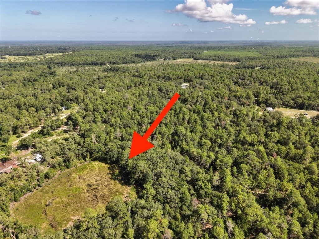 229 Arkansas Street Satsuma FL 32189 O6346267 image1