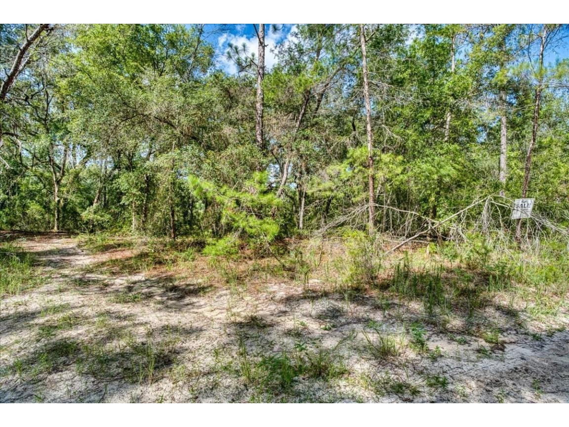 229 Arkansas Street Satsuma FL 32189 O6346267 image10