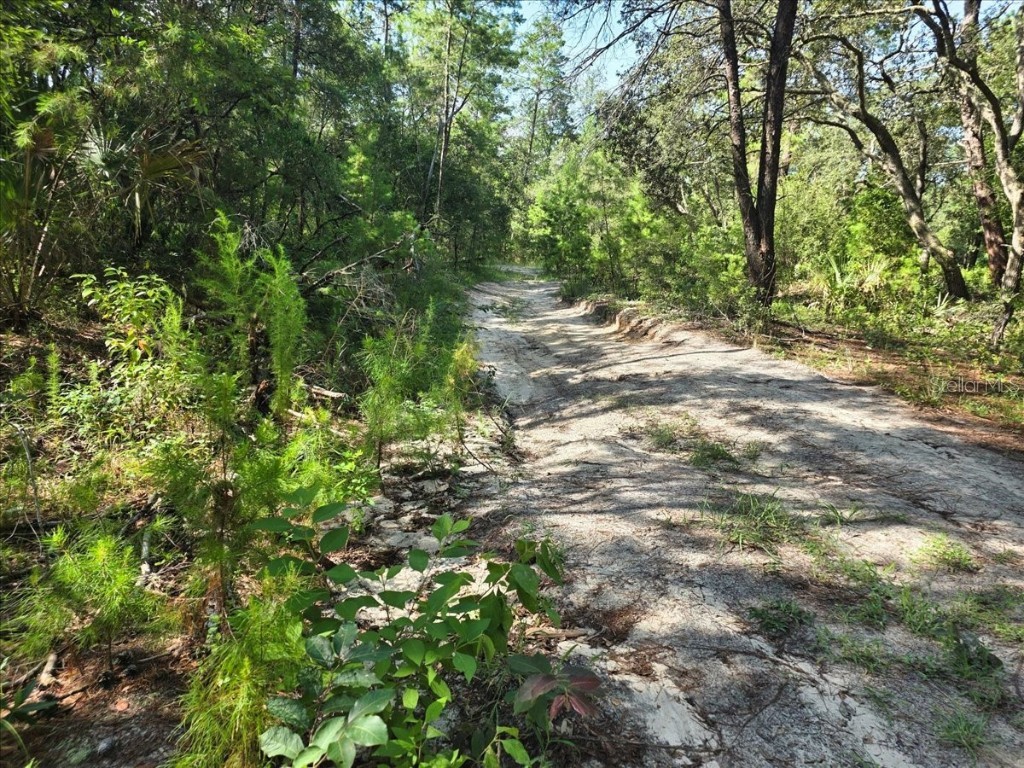 229 Arkansas Street Satsuma FL 32189 O6346267 image11