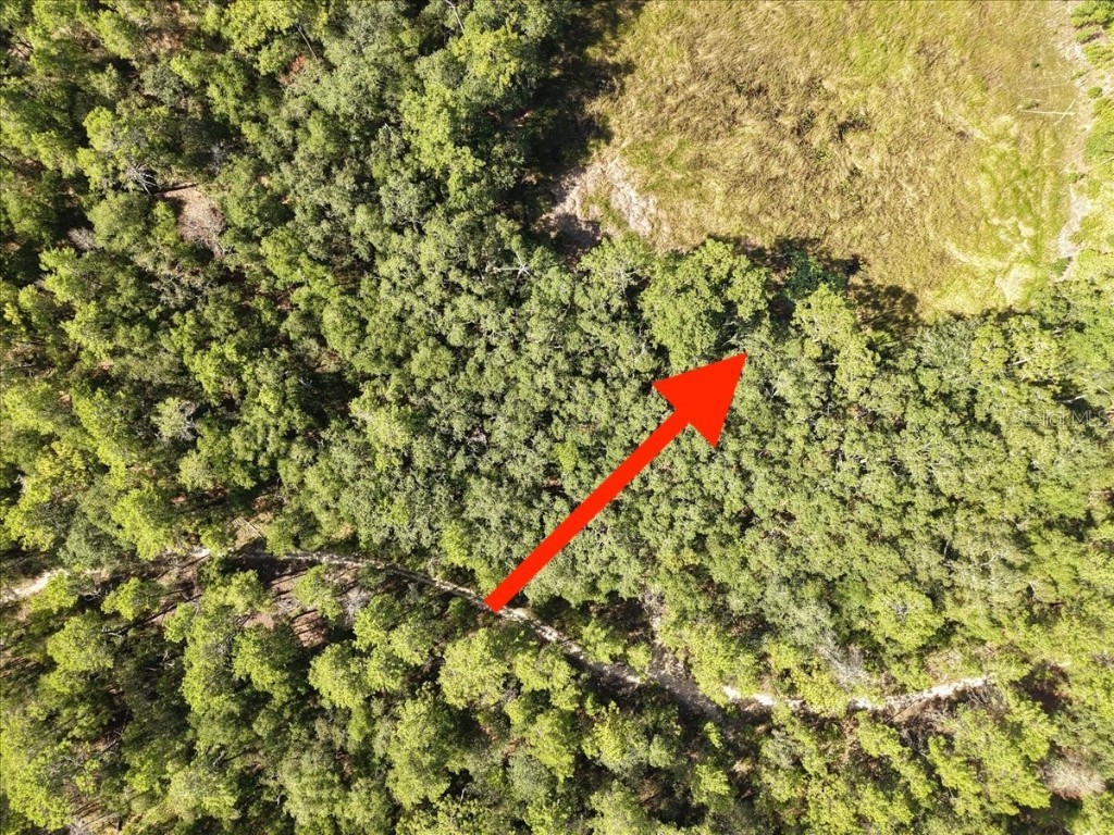 229 Arkansas Street Satsuma FL 32189 O6346267 image12