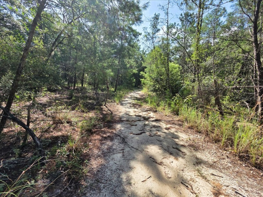 229 Arkansas Street Satsuma FL 32189 O6346267 image13