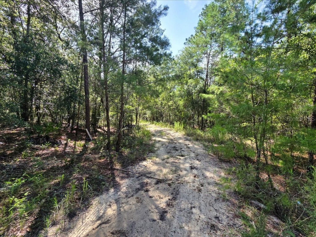 229 Arkansas Street Satsuma FL 32189 O6346267 image15