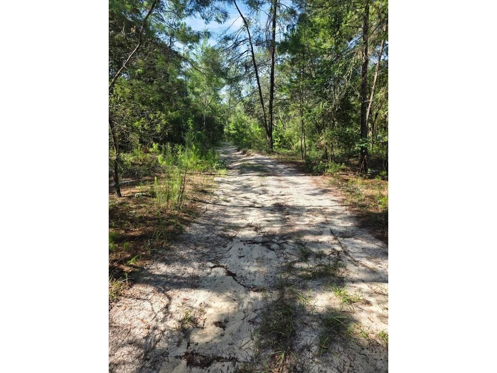 229 Arkansas Street Satsuma FL 32189 O6346267 image17