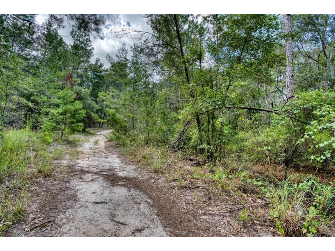 229 Arkansas Street Satsuma FL 32189 O6346267 image18