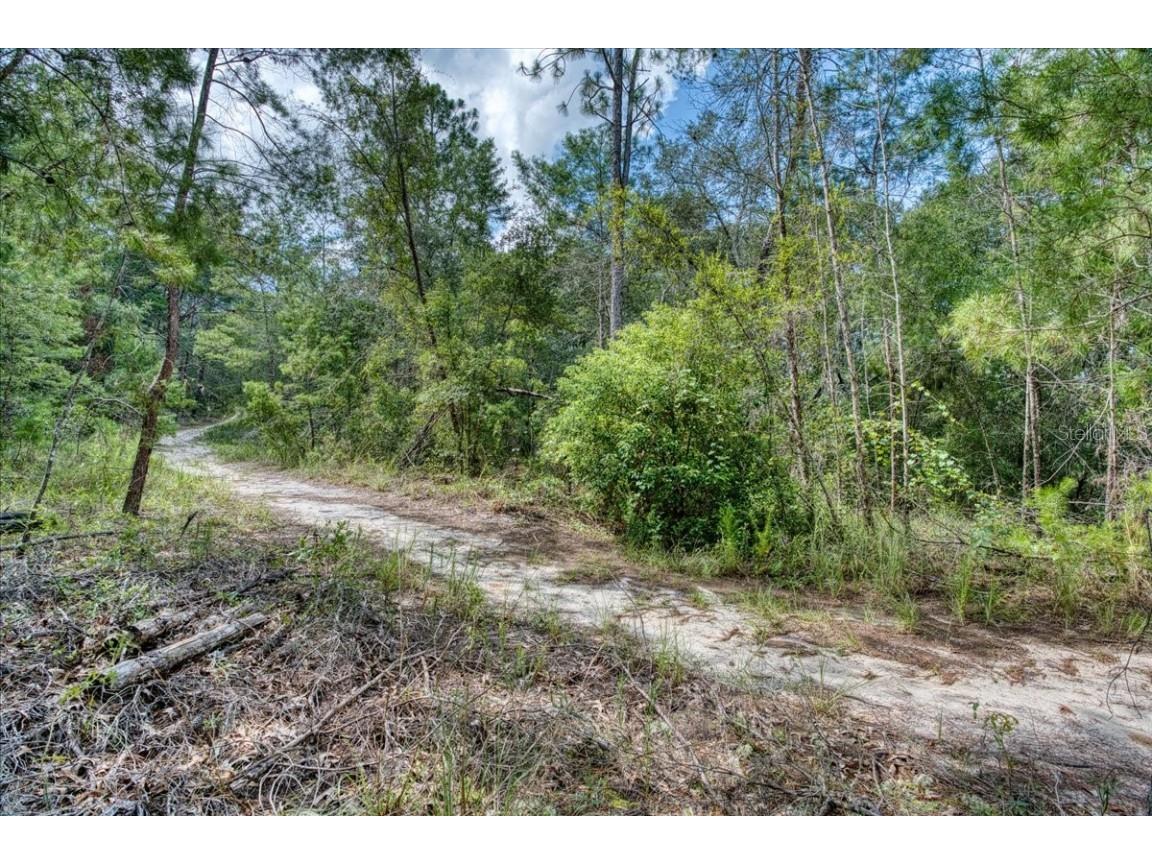 229 Arkansas Street Satsuma FL 32189 O6346267 image19