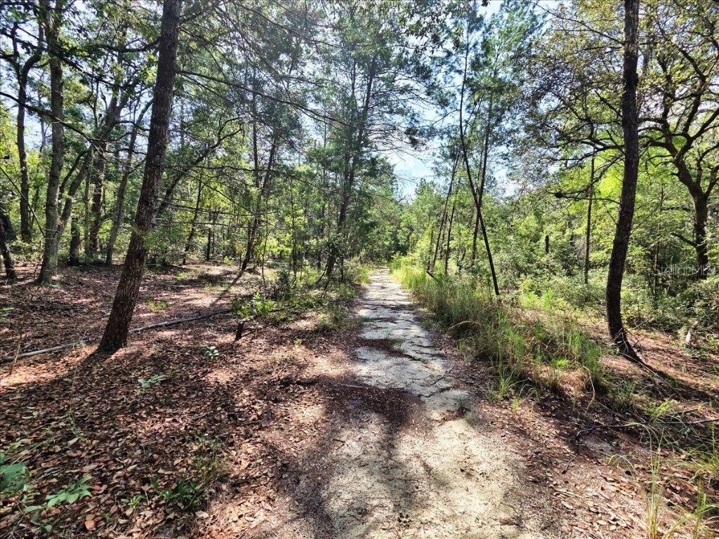 229 Arkansas Street Satsuma FL 32189 O6346267 image2