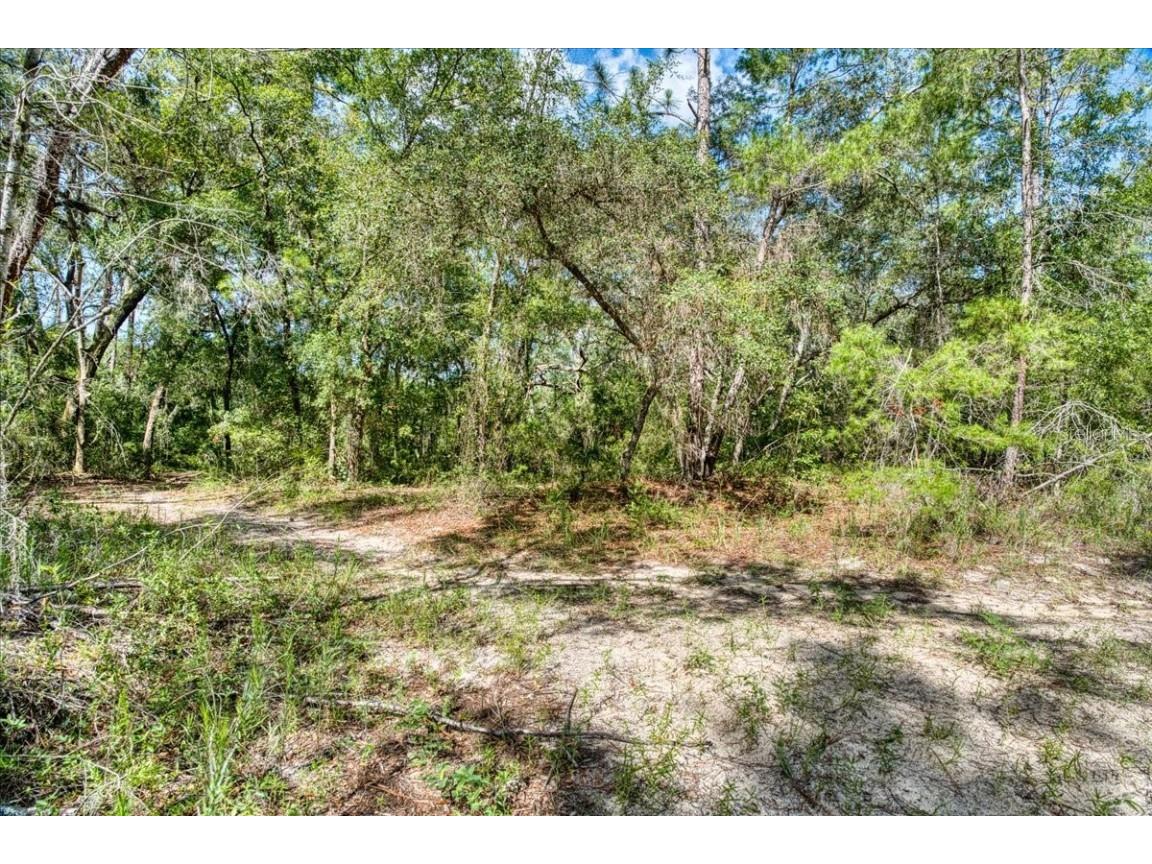 229 Arkansas Street Satsuma FL 32189 O6346267 image21